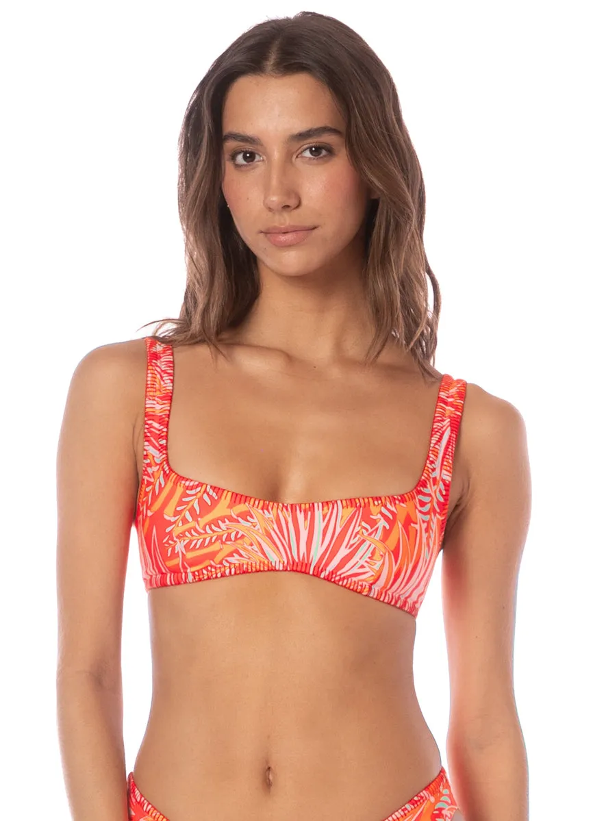 Maaji Coral Foliage Sunquest Classic Bralette Bikini Top Maaji