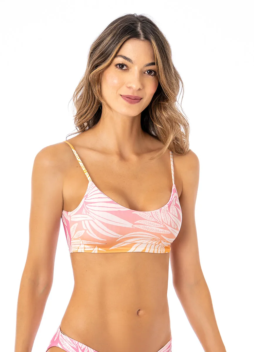 Maaji Ombre Foliage Ceci Sporty Bralette Bikini Top Maaji